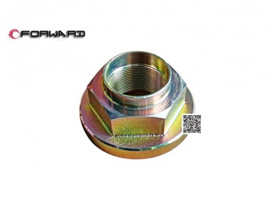 L913800400 差速器凸緣螺母,Differential flange nut,濟南向前汽車配件有限公司