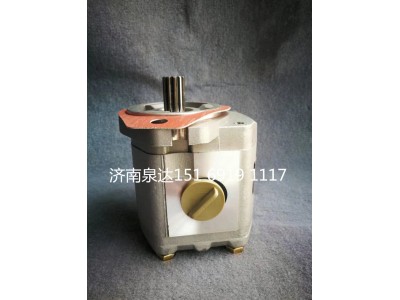 DZ9118130103,轉向泵,濟南泉達汽配有限公司