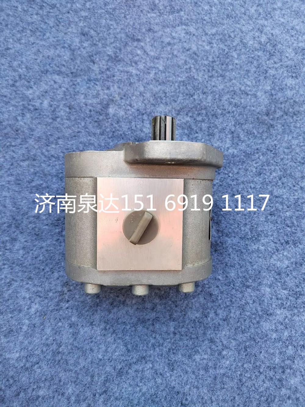 濰柴道依茨發(fā)動(dòng)機(jī)轉(zhuǎn)向齒輪泵助力泵液壓泵/13053729