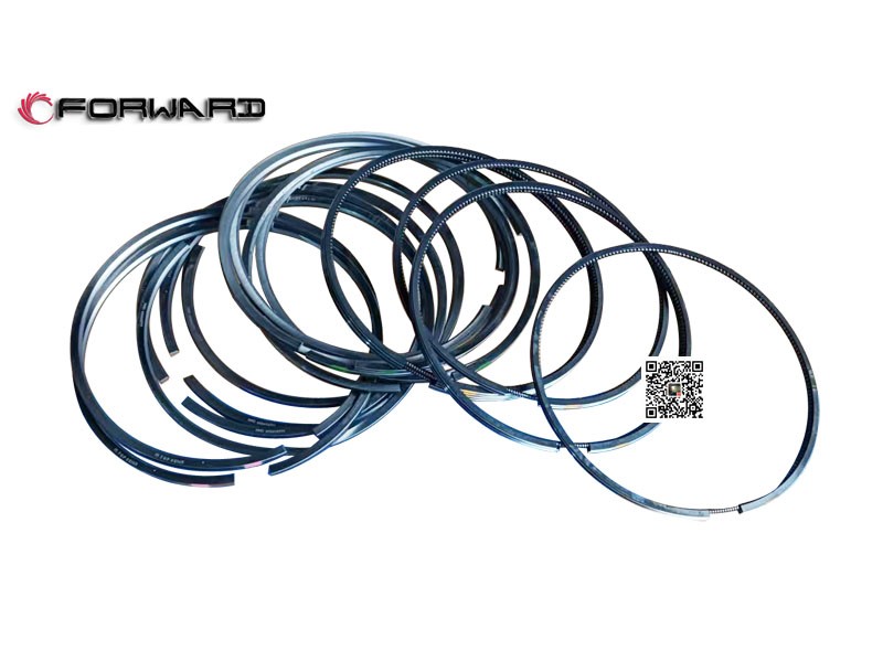 202V02503-6011  活塞環(huán)組件,Piston ring assembly,濟(jì)南向前汽車配件有限公司