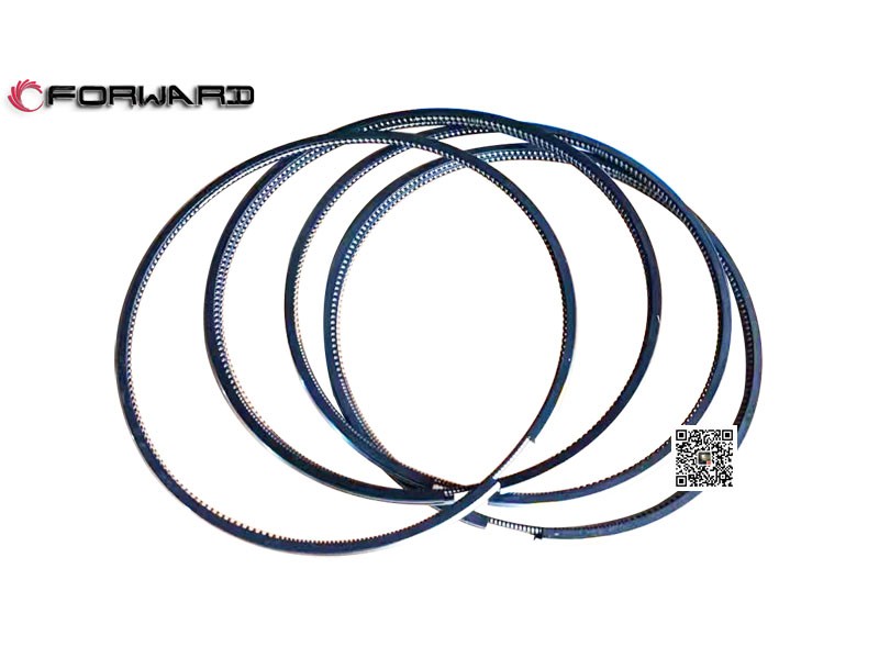 202V02503-0858  油環(huán),Oil ring,濟南向前汽車配件有限公司