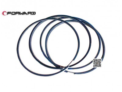 202V02503-0858  油環(huán),Oil ring,濟南向前汽車配件有限公司