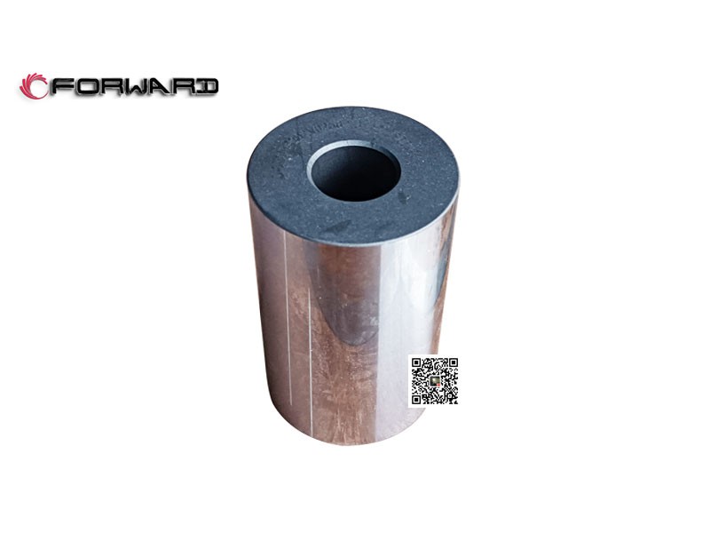 202V02502-0142  活塞銷,Piston pin,濟南向前汽車配件有限公司