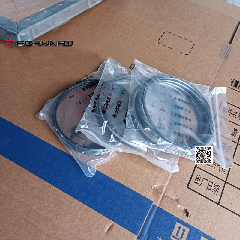 202V02503-6011  活塞環(huán)組件,Piston ring assembly,濟(jì)南向前汽車配件有限公司
