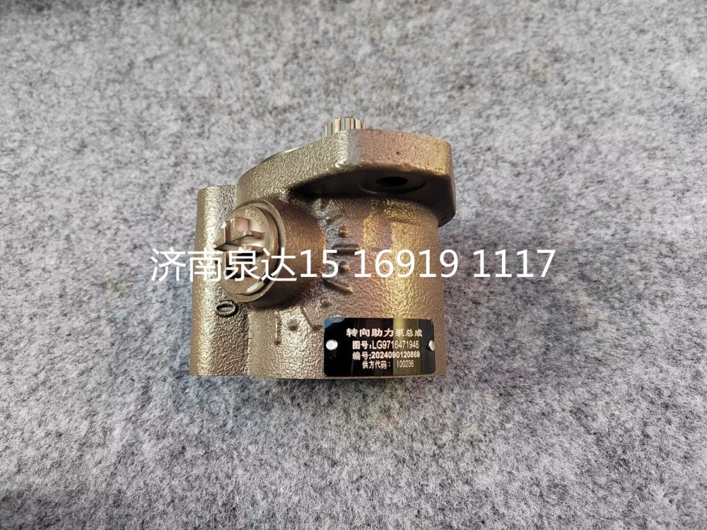 LG9716471946,轉(zhuǎn)向助力泵（濰柴WP4.6）,濟(jì)南泉達(dá)汽配有限公司