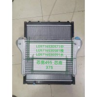 中冷器水箱LG9716530571（中）LG9716530581（模）LG9716530591（水），尺寸495*375