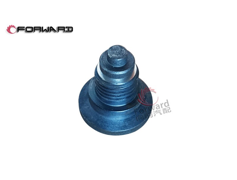 特種車動(dòng)力發(fā)動(dòng)機(jī)12V150L 燃油系統(tǒng)  24.27.09  高壓油泵輸油閥/24.27.09  高壓油泵輸油閥
