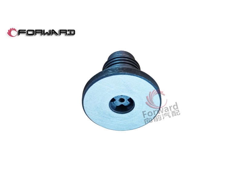 特種車動(dòng)力發(fā)動(dòng)機(jī)12V150L 燃油系統(tǒng)  24.27.09  高壓油泵輸油閥/24.27.09  高壓油泵輸油閥