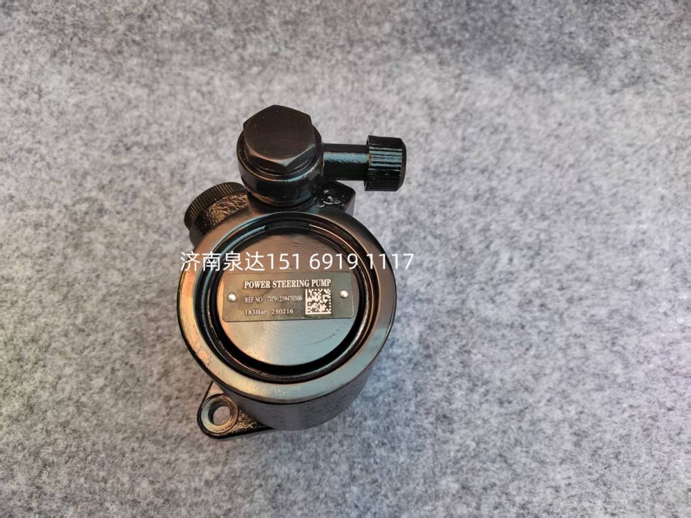 DZ91259470306,轉向葉片泵,濟南泉達汽配有限公司