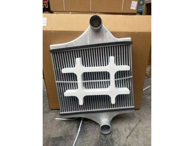 DZ96259531030陜汽M3000中冷器總成