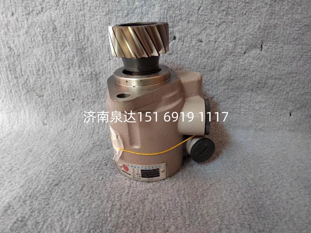 EZ9225470016,轉(zhuǎn)向助力泵,濟(jì)南泉達(dá)汽配有限公司