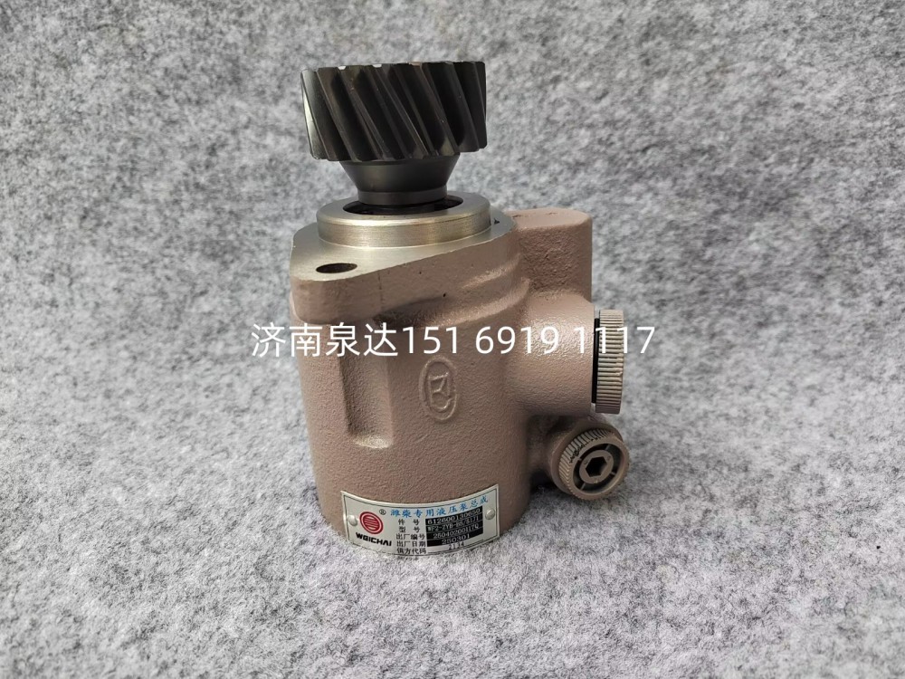 612600130650,轉(zhuǎn)向助力泵,濟(jì)南泉達(dá)汽配有限公司