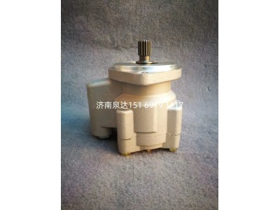 5802208782,轉(zhuǎn)向助力泵,濟(jì)南泉達(dá)汽配有限公司