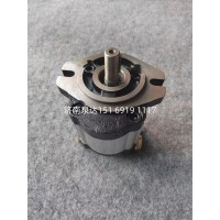HLCB-D316恒流齒輪泵溢流泵工程機(jī)械農(nóng)機(jī)泵