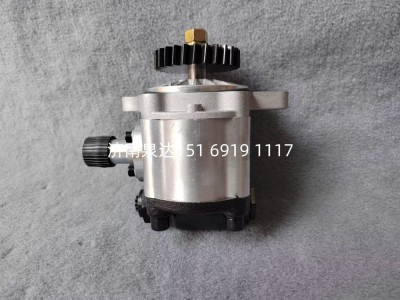5010600046,轉(zhuǎn)向助力泵,濟(jì)南泉達(dá)汽配有限公司