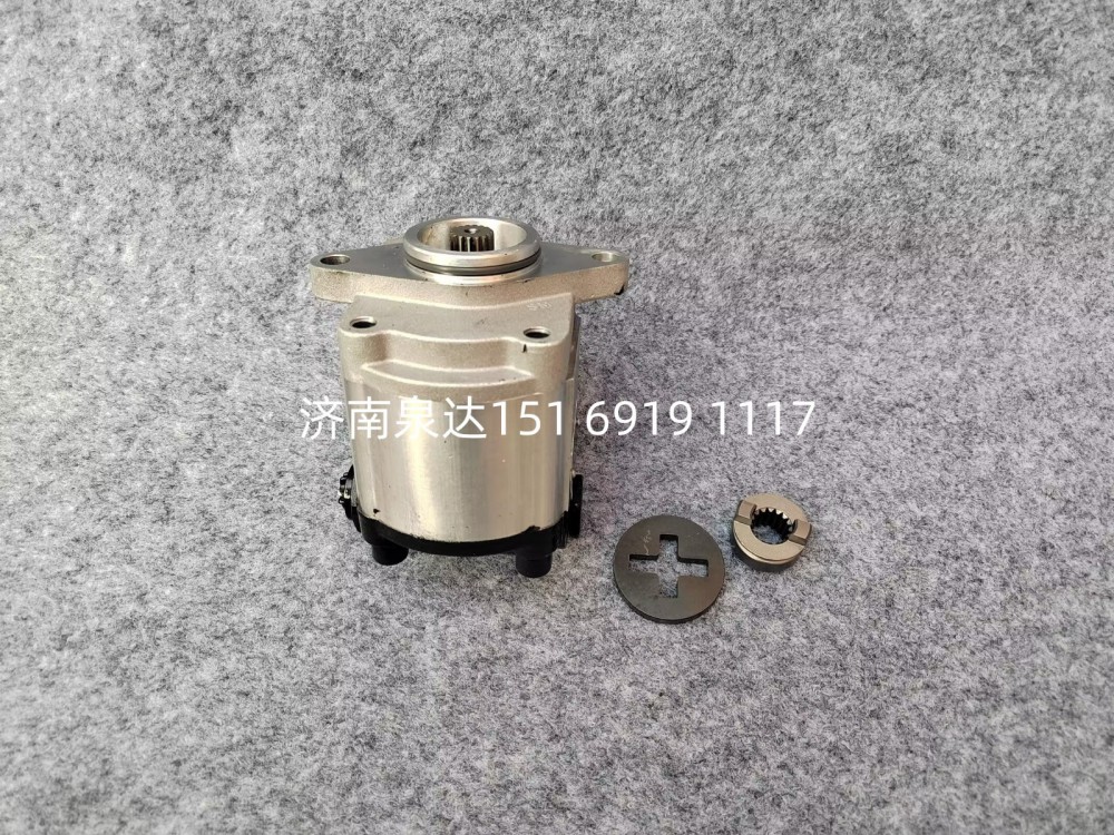 5010239659,轉向助力泵,濟南泉達汽配有限公司