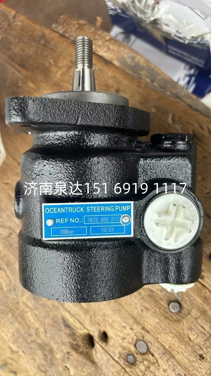 7673955217,轉(zhuǎn)向助力泵,濟南泉達汽配有限公司