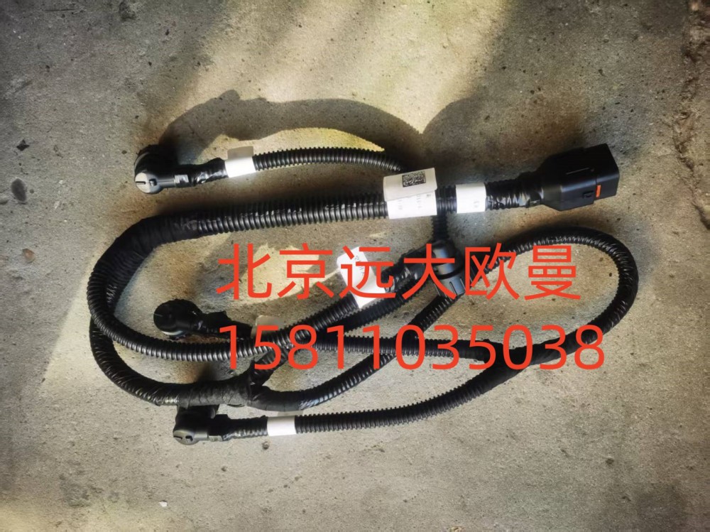 變速箱線束FH4362040009A0A1900/FH4362040009A0A1900