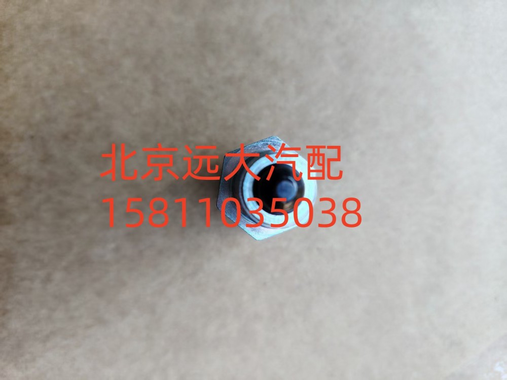 S1324.207.033W0077,螺塞,北京遠(yuǎn)大汽車配件有限公司