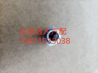 S1324.207.033W0077,螺塞,北京遠(yuǎn)大汽車配件有限公司