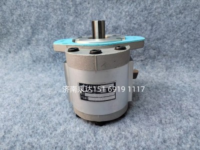 QC25/16-226B,轉(zhuǎn)向助力泵,濟(jì)南泉達(dá)汽配有限公司