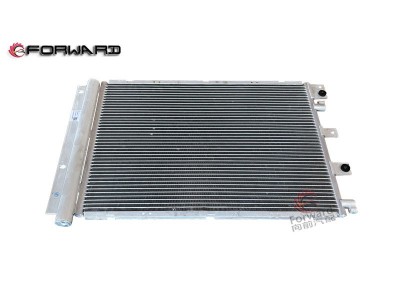 DZ13241824370 過冷式冷凝器總成（集成干燥罐）,Subcooled condenser assembly (integrated drying tank),濟(jì)南向前汽車配件有限公司
