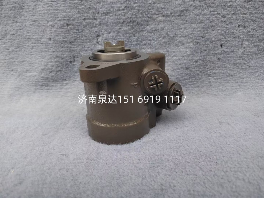 FG9816476900,轉(zhuǎn)向助力泵,濟(jì)南泉達(dá)汽配有限公司
