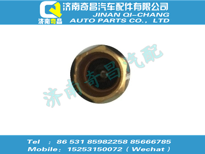 wg9725610006,C7B配件 C7B氣門嘴金屬延長桿,濟南奇昌汽車配件有限公司