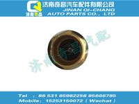 wg9725610006,C7B配件 C7B氣門嘴金屬延長桿,濟南奇昌汽車配件有限公司