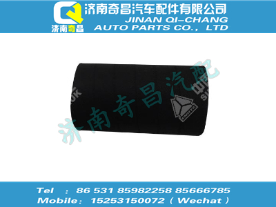vg1238110053,A7配件 A7膠管,濟(jì)南奇昌汽車配件有限公司