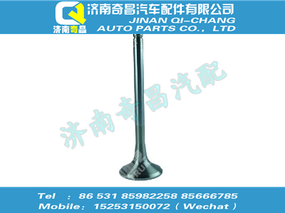 vg1092050014,汕德卡配件 汕德卡排氣門,濟南奇昌汽車配件有限公司