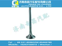 vg1092050014,汕德卡配件 汕德卡排氣門,濟南奇昌汽車配件有限公司
