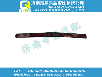 810w62651-0098,HOWO配件 HOWO車門外密封條III,濟南奇昌汽車配件有限公司
