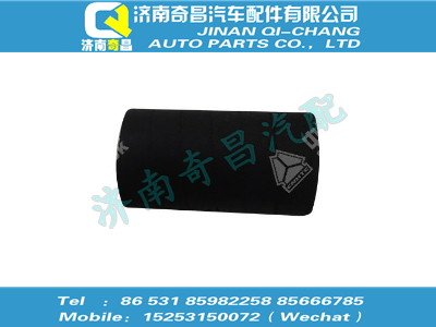 vg1062060203,王牌配件 王牌膠管,濟南奇昌汽車配件有限公司