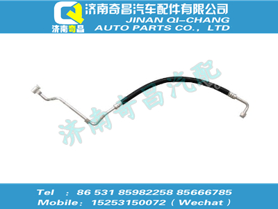 wg1608821010,王牌配件 王牌壓-冷管總成,濟南奇昌汽車配件有限公司