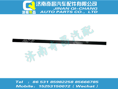 810w62910-6168,王牌配件 王牌保護(hù)條總成,濟(jì)南奇昌汽車配件有限公司