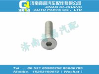 wg9925521007,SITRAK配件內(nèi)六角沉頭螺釘,濟(jì)南奇昌汽車配件有限公司