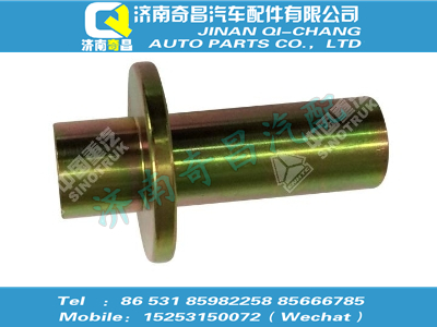 wg1664430061,王牌配件 王牌襯套,濟(jì)南奇昌汽車(chē)配件有限公司