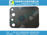 vg1557110029,王牌配件 王牌閥片,濟南奇昌汽車配件有限公司