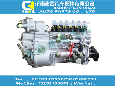 vg1093080180,HOWO配件 HOWO噴油泵總成,濟(jì)南奇昌汽車配件有限公司