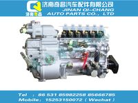 vg1093080180,HOWO配件 HOWO噴油泵總成,濟(jì)南奇昌汽車配件有限公司