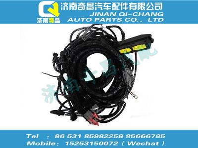 vg1238090107,SITRAK配件T12發(fā)動(dòng)機(jī)線束（CFV）,濟(jì)南奇昌汽車配件有限公司