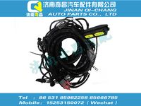 vg1238090102,王牌配件 王牌發(fā)動機線束（T12，4GECU，雙高壓減壓器）,濟南奇昌汽車配件有限公司