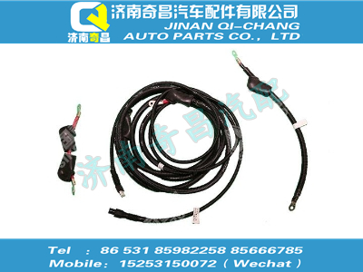 az9121771023,金王子配件 金王子預熱器線束(490/55),濟南奇昌汽車配件有限公司