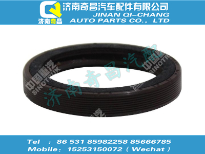 vg0003070092,T5G配件 T5G空壓機(jī)傳動(dòng)軸油封,濟(jì)南奇昌汽車配件有限公司