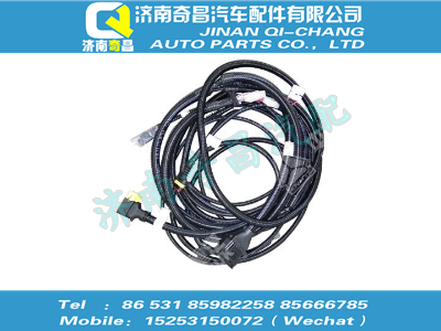 wg1034124020,SITRAK配件C5B車輛線束,濟(jì)南奇昌汽車配件有限公司