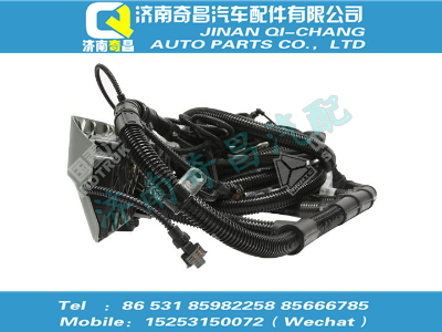 812w25424-6340,金王子配件 金王子帶VCU發(fā)動(dòng)機(jī)線束總成,濟(jì)南奇昌汽車配件有限公司
