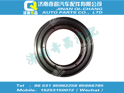 wg7117329007-1,C7B配件 C7B油封座與油封合件,濟南奇昌汽車配件有限公司