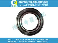 wg7117329007-1,C7B配件 C7B油封座與油封合件,濟南奇昌汽車配件有限公司