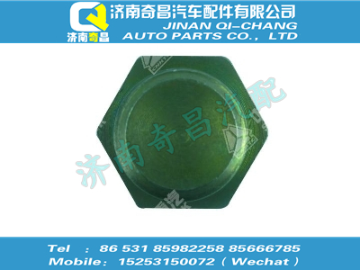 vg1034070001,C7B配件 C7B六角頭螺塞,濟南奇昌汽車配件有限公司